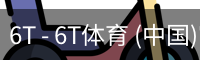 6T体育